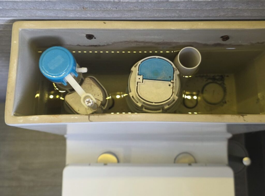 Toilet Repairs in Brighton & Hove 2 Toiler repair brighton